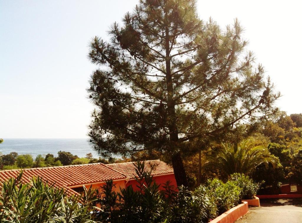 Hotel Residence San Pieru Tarcu Exterior foto